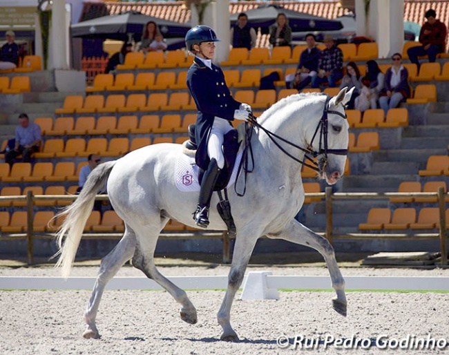 Portuguese Grand Prix Horse Sold to USA