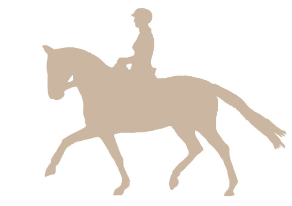 McConnell Dressage