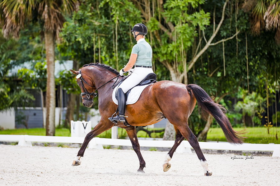 No Limits at White Fences Summer Competition